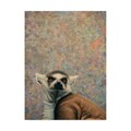 Trademark Fine Art James W. Johnson 'Lemur' Canvas Art, 18x24 ALI36369-C1824GG